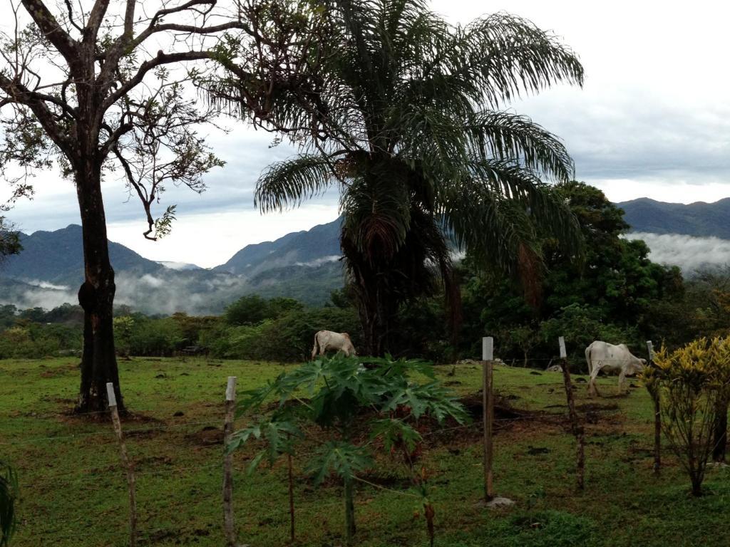 Coffee Mountain Inn Santa Fe  Ngoại thất bức ảnh