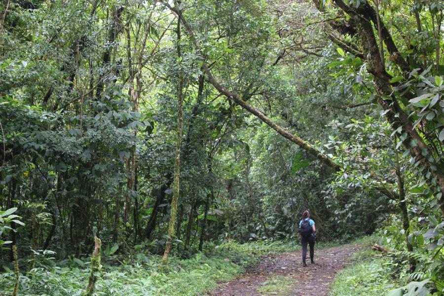 Coffee Mountain Inn Santa Fe  Ngoại thất bức ảnh